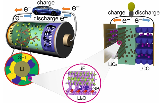 dendrite growth in batteries